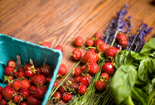 Strawberries, Lavender and Basil