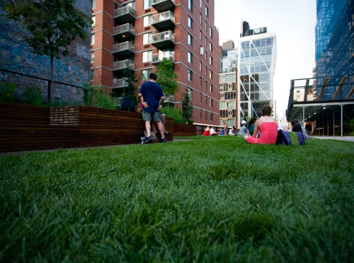 The Grassy Lawn at the High Line, Phase Two
