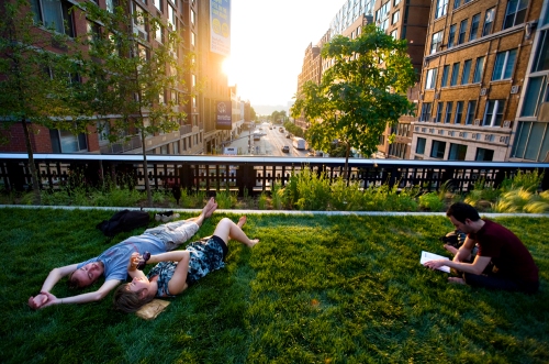 The Grassy Lawn on The High Line, Phase Two